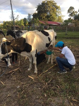 PHOTO-2019-07-04-00-36-16