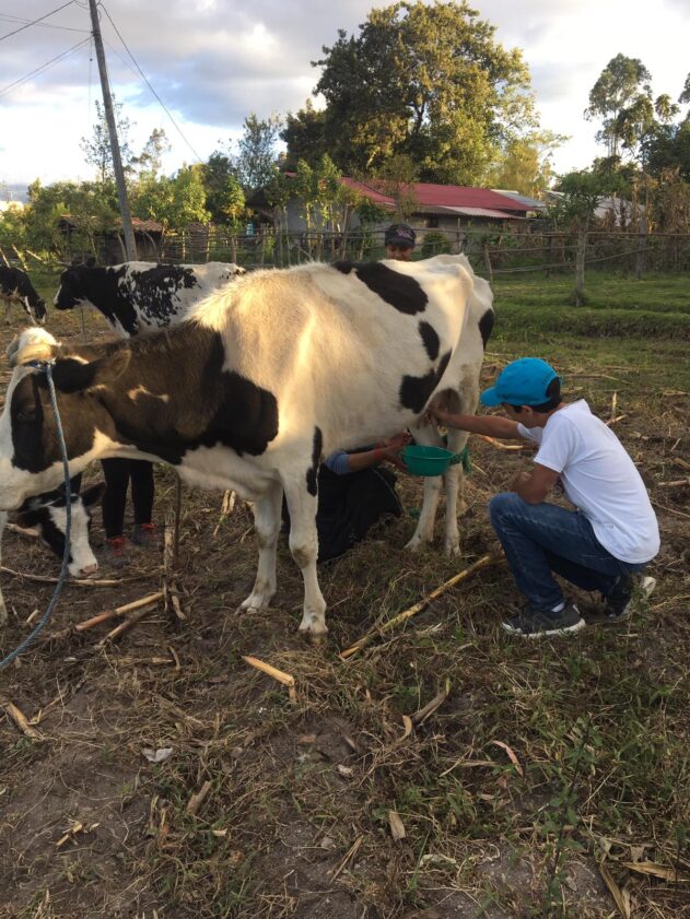 PHOTO-2019-07-04-00-36-16